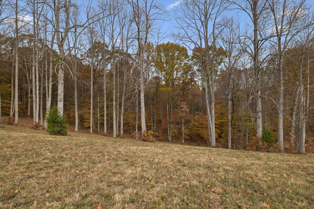 5515 Old Hwy 96 Franklin, TN 37064
