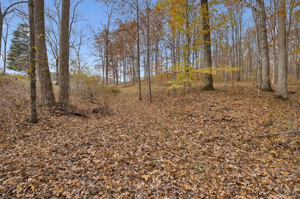 5515 Old Hwy 96 Franklin, TN 37064