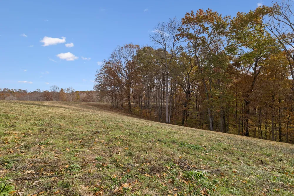 5515 Old Hwy 96 Franklin, TN 37064