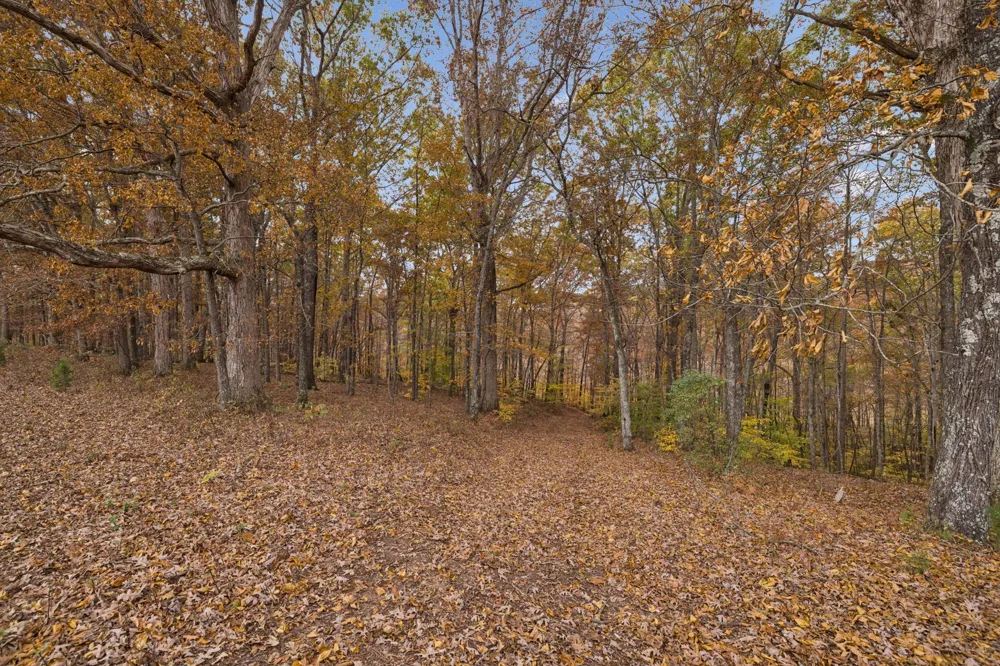 5515 Old Hwy 96 Franklin, TN 37064