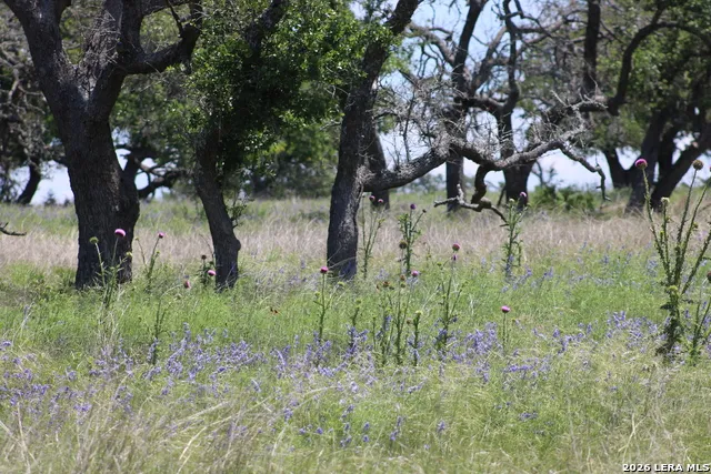132 PACK SADDLE LN Fredericksburg, TX 78624