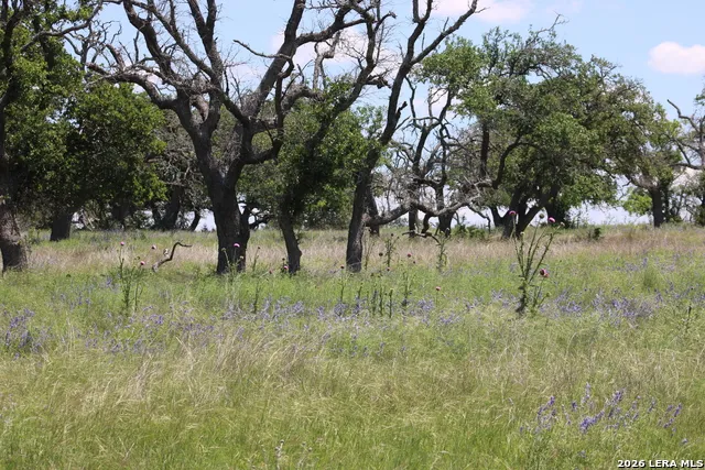 132 PACK SADDLE LN Fredericksburg, TX 78624