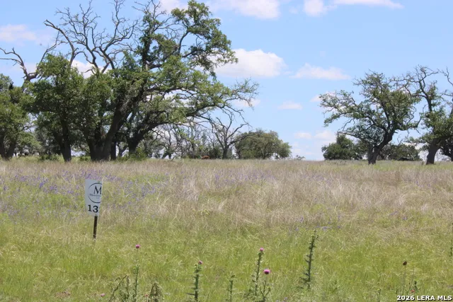132 PACK SADDLE LN Fredericksburg, TX 78624