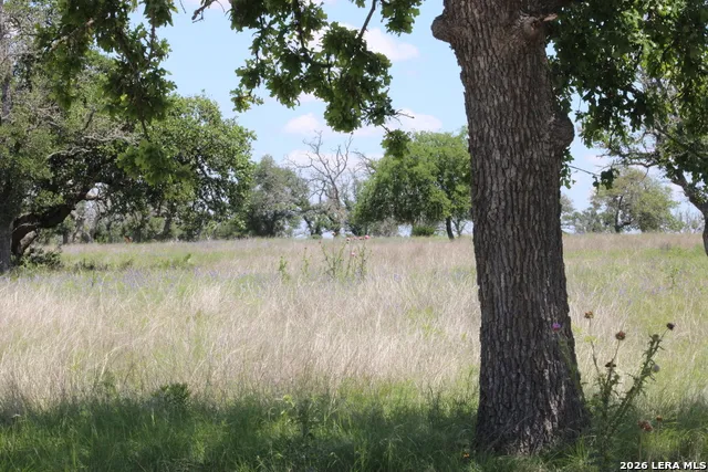 135 PACK SADDLE LN Fredericksburg, TX 78624