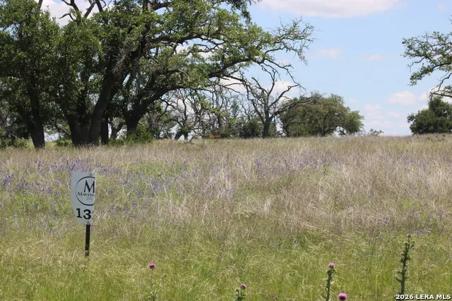 135 PACK SADDLE LN Fredericksburg, TX 78624