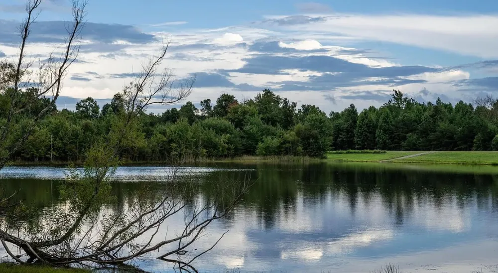 2958 Bluff View Drive W Dunlap, TN 37327
