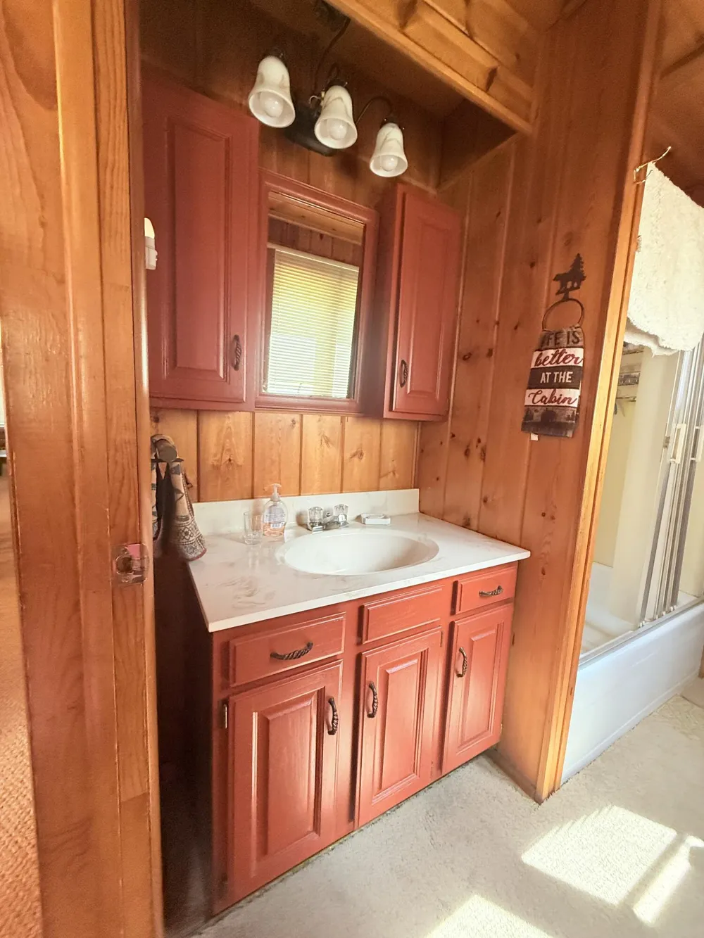 11272 S L Lakes Bridge Street Pleasant Plains Township, MI 49304