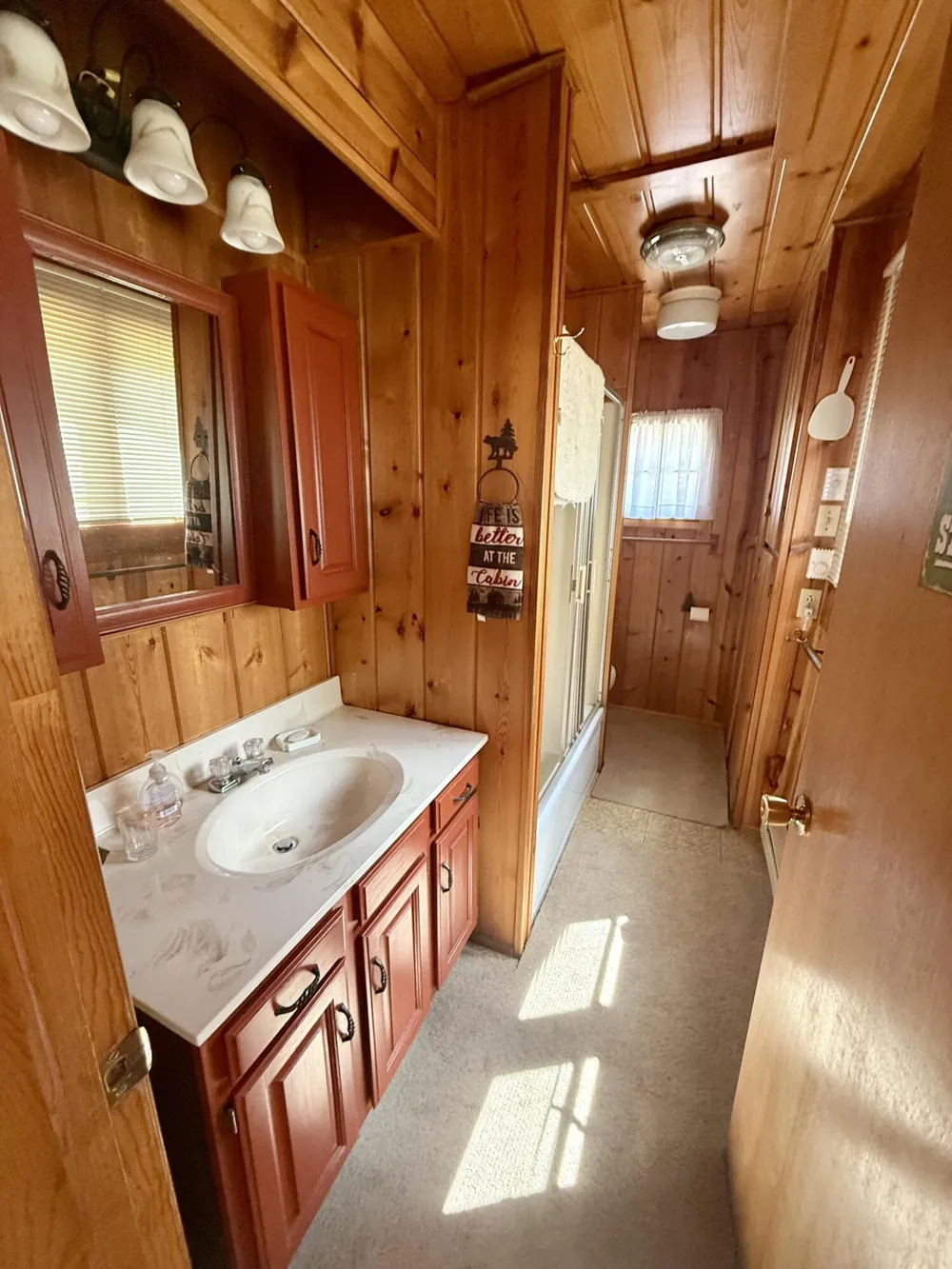 11272 S L Lakes Bridge Street Pleasant Plains Township, MI 49304