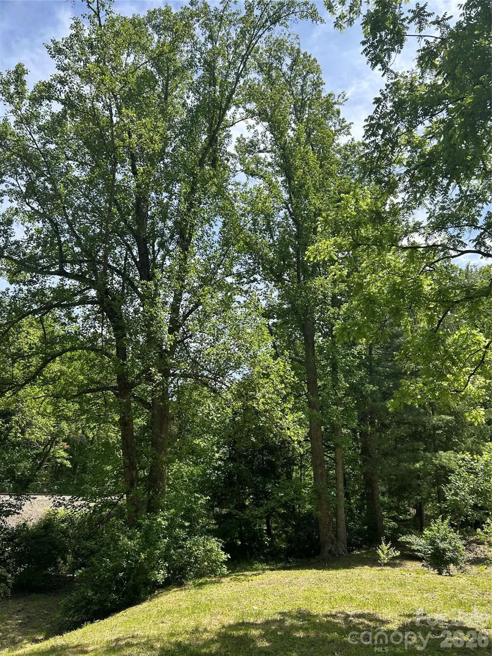 28 Pinecrest Drive Asheville, NC 8803