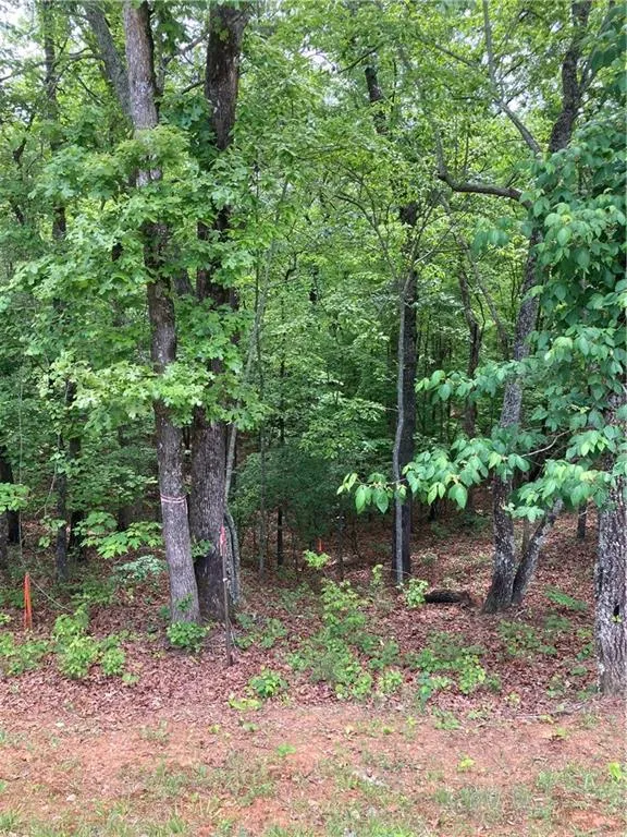 00 Crest View Drive Dahlonega, GA 30533