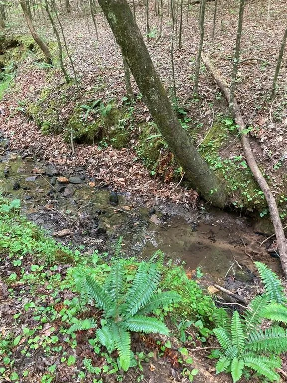 00 Crest View Drive Dahlonega, GA 30533