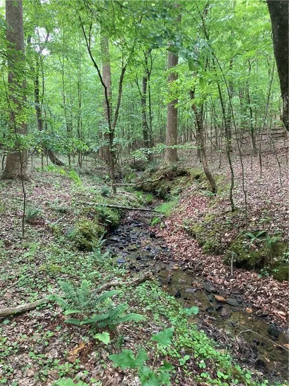 00 Crest View Drive Dahlonega, GA 30533