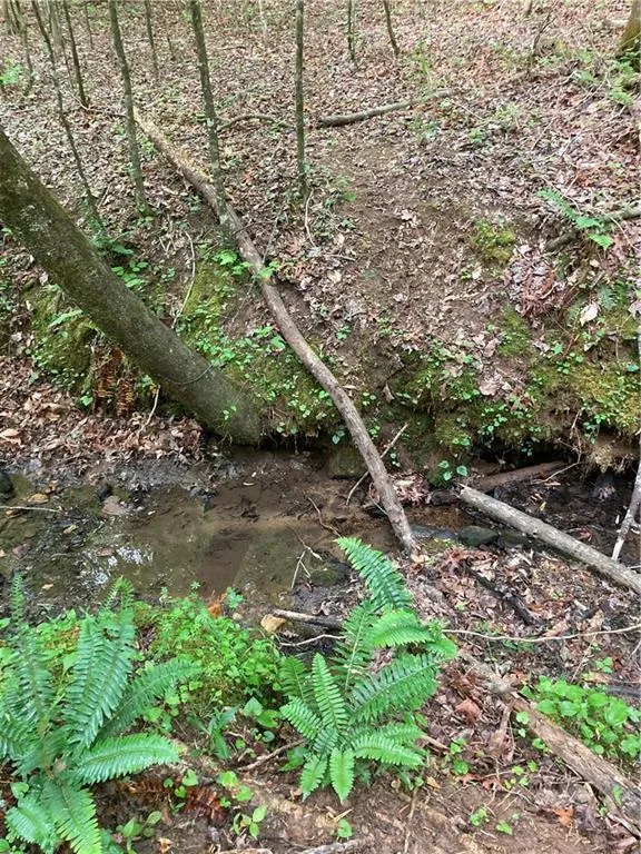 00 Crest View Drive Dahlonega, GA 30533