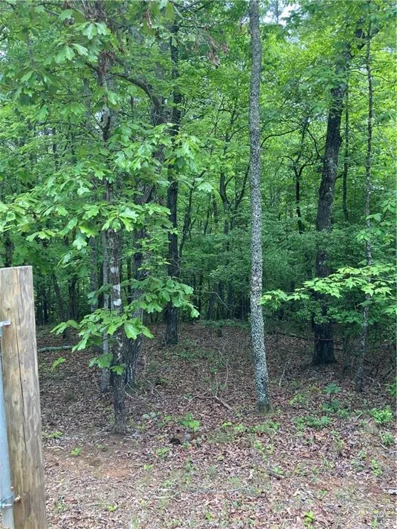 00 Crest View Drive Dahlonega, GA 30533