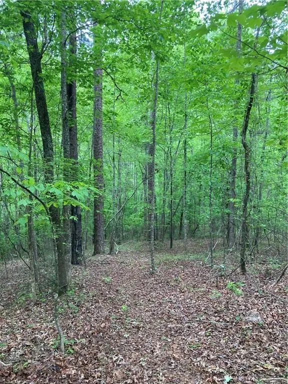 00 Crest View Drive Dahlonega, GA 30533