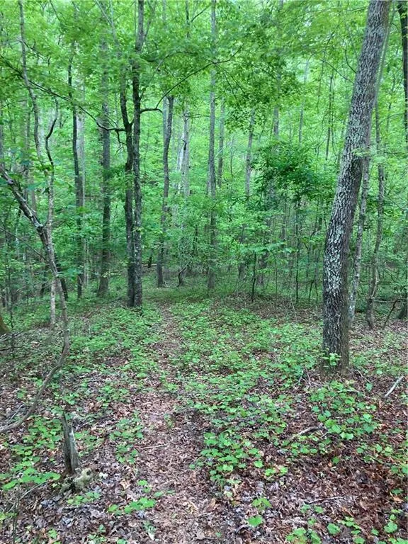 00 Crest View Drive Dahlonega, GA 30533