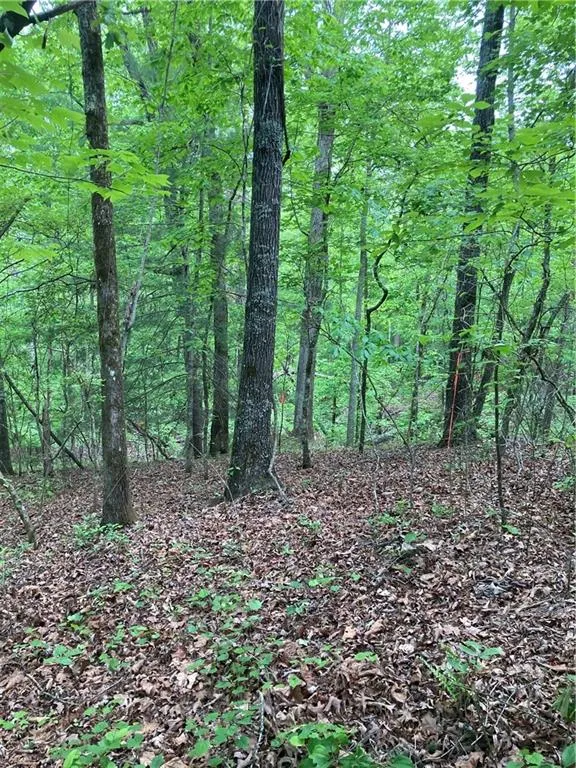 00 Crest View Drive Dahlonega, GA 30533