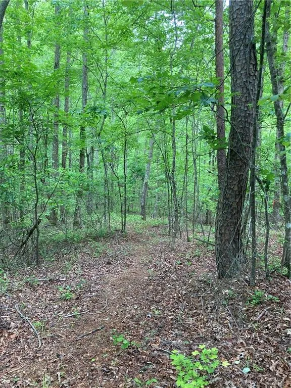 00 Crest View Drive Dahlonega, GA 30533