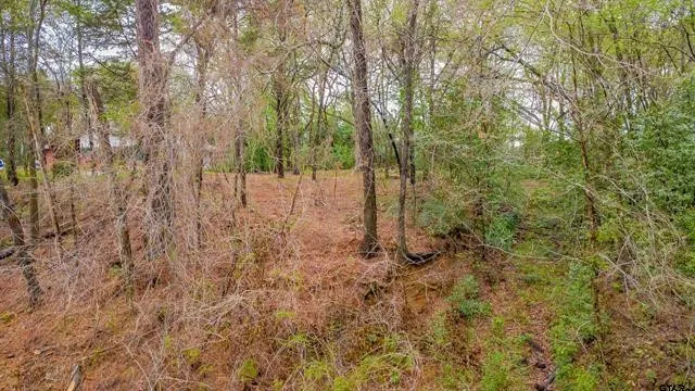 161 Fairway Drive E Hideaway, TX 75771