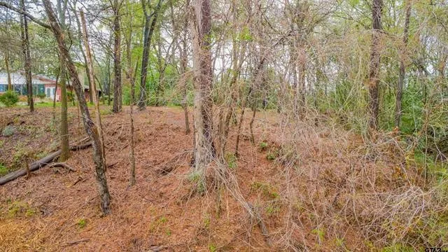 161 Fairway Drive E Hideaway, TX 75771
