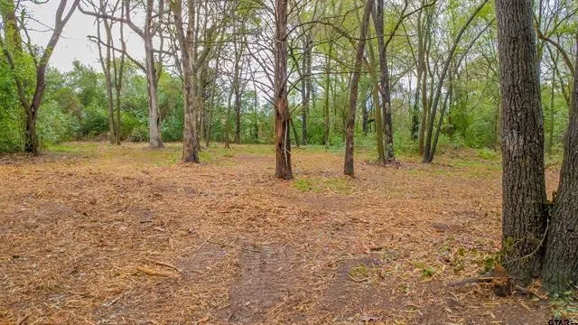 161 Fairway Drive E Hideaway, TX 75771