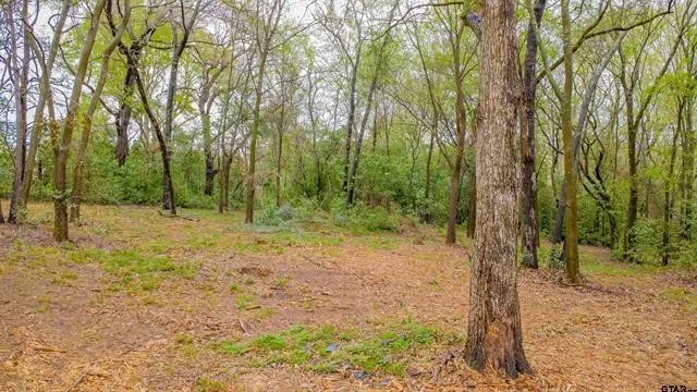 161 Fairway Drive E Hideaway, TX 75771