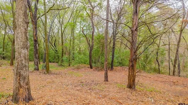 161 Fairway Drive E Hideaway, TX 75771