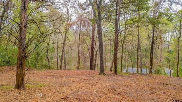 161 Fairway Drive E Hideaway, TX 75771