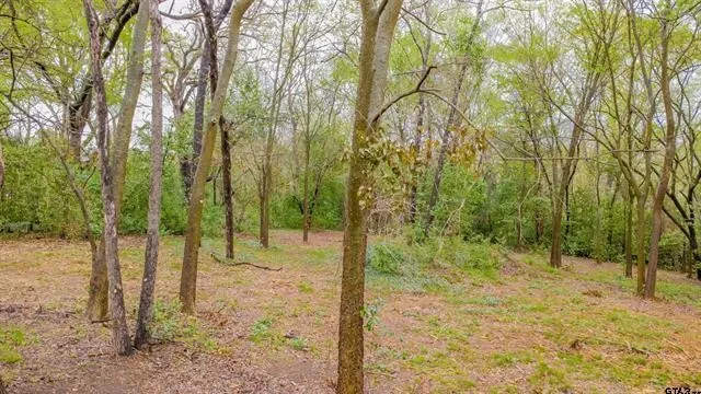 161 Fairway Drive E Hideaway, TX 75771