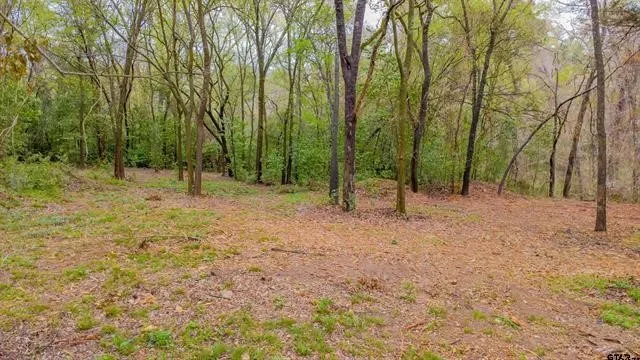 161 Fairway Drive E Hideaway, TX 75771