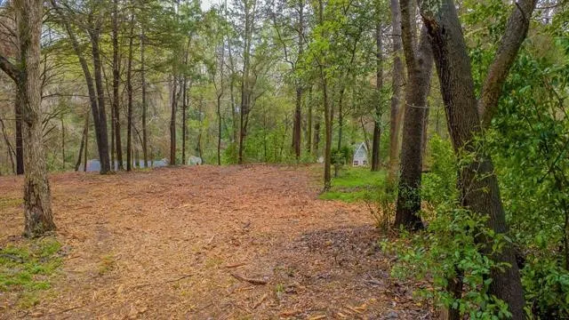 161 Fairway Drive E Hideaway, TX 75771