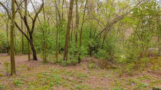 161 Fairway Drive E Hideaway, TX 75771