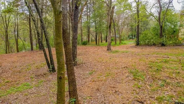 161 Fairway Drive E Hideaway, TX 75771