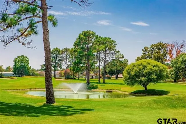 161 Fairway Drive E Hideaway, TX 75771