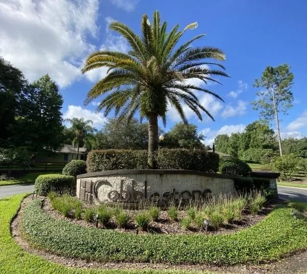 TBD SE 41ST AVENUE Belleview, FL 34420
