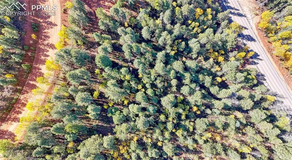 959 Calcite Drive Divide, CO 80814