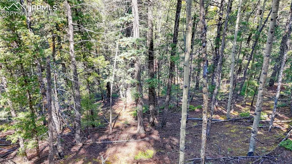959 Calcite Drive Divide, CO 80814