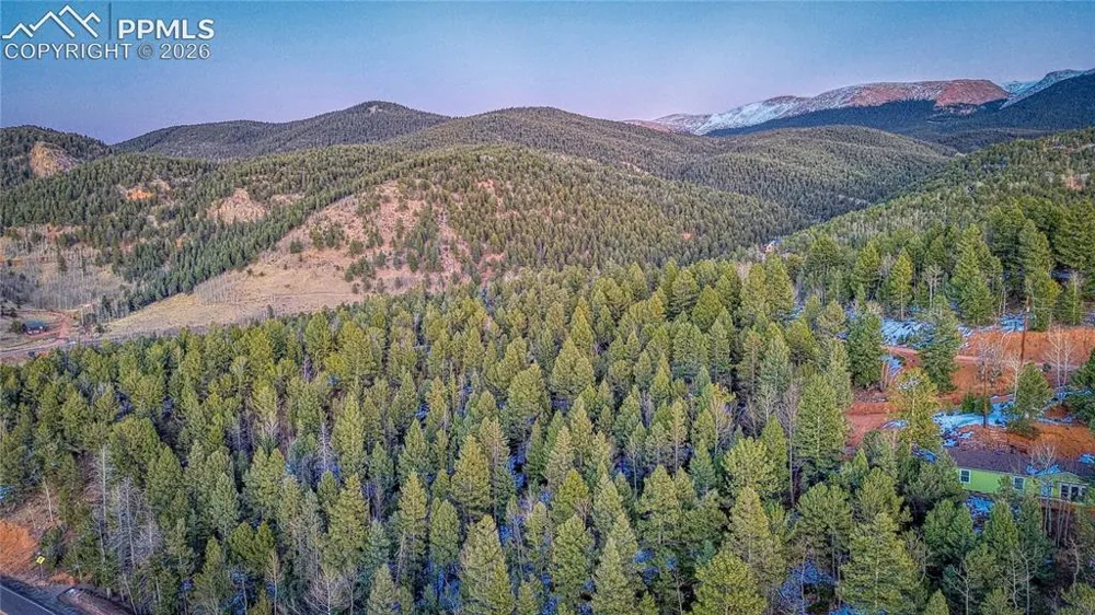 959 Calcite Drive Divide, CO 80814