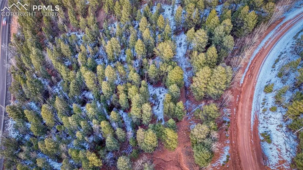 959 Calcite Drive Divide, CO 80814