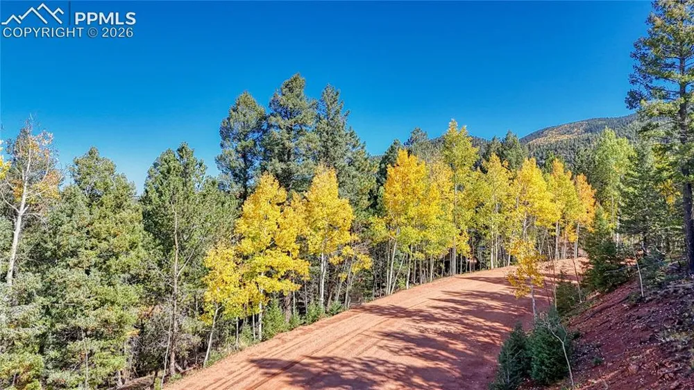 959 Calcite Drive Divide, CO 80814