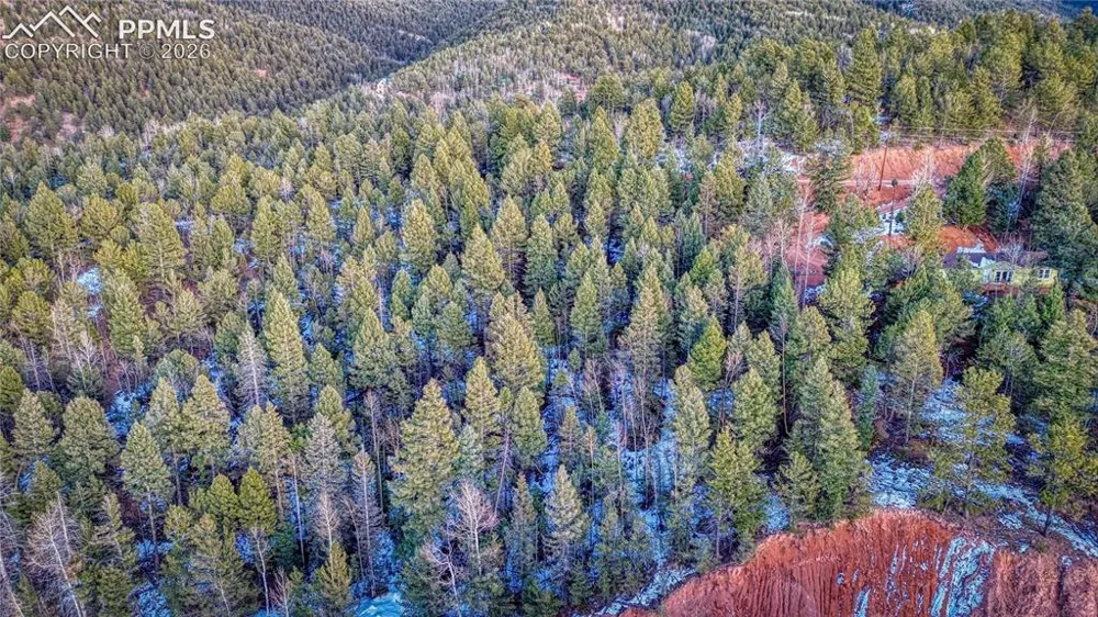 959 Calcite Drive Divide, CO 80814