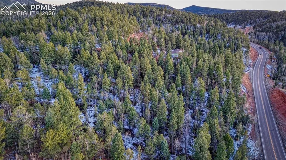 959 Calcite Drive Divide, CO 80814