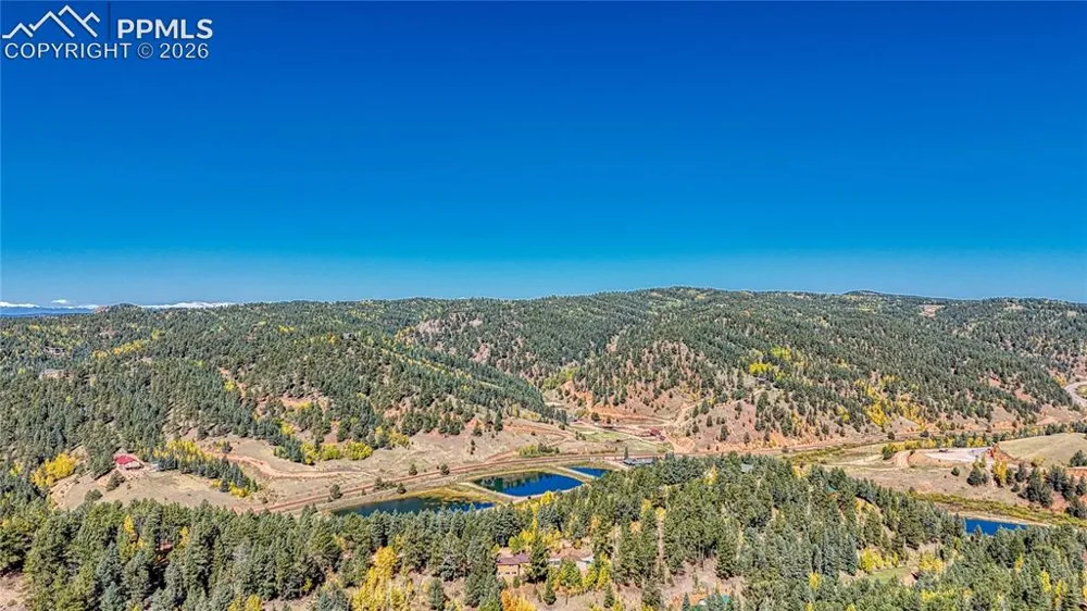 959 Calcite Drive Divide, CO 80814