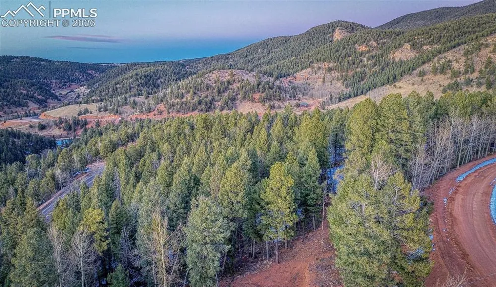 959 Calcite Drive Divide, CO 80814
