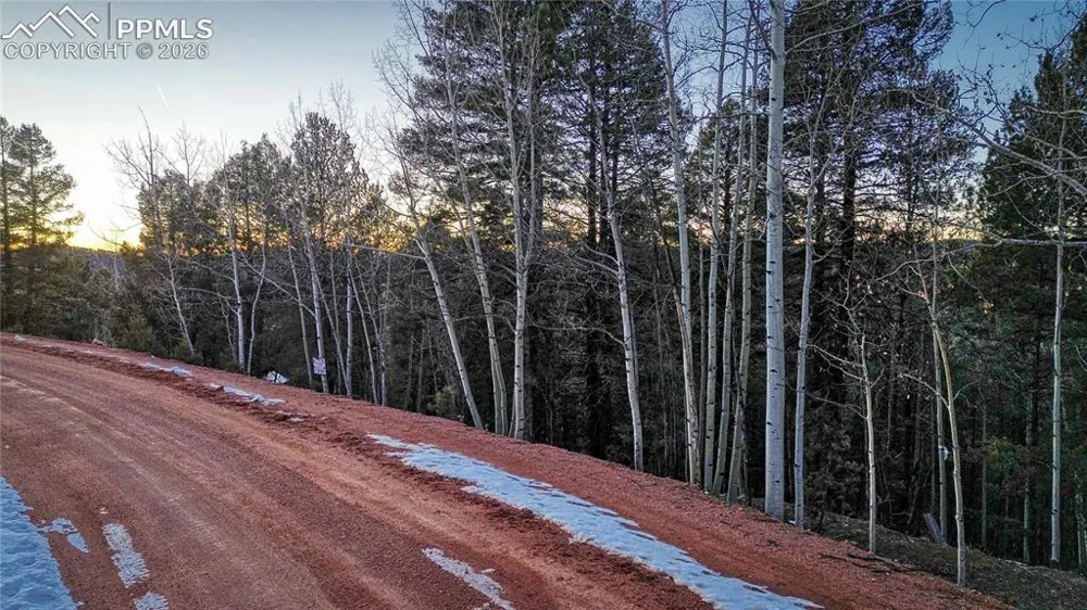 959 Calcite Drive Divide, CO 80814