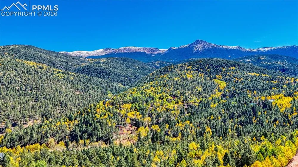 959 Calcite Drive Divide, CO 80814