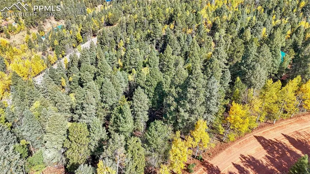 959 Calcite Drive Divide, CO 80814