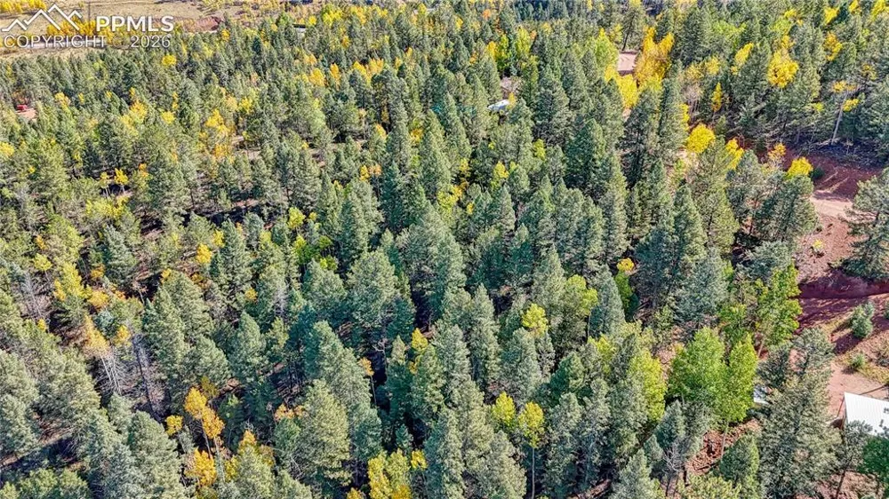 959 Calcite Drive Divide, CO 80814