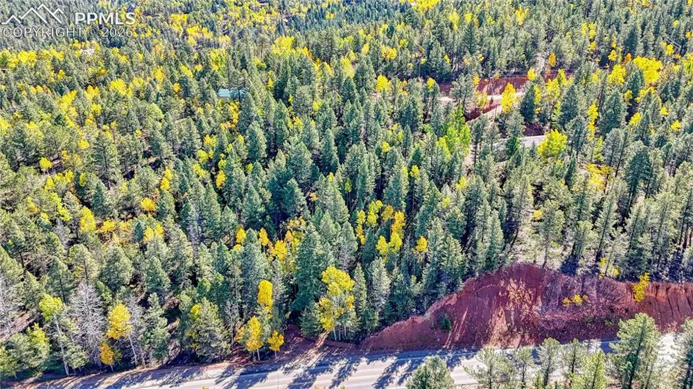 959 Calcite Drive Divide, CO 80814