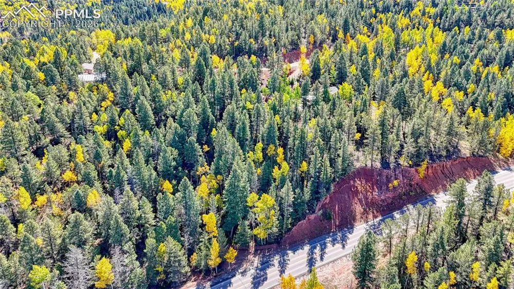 959 Calcite Drive Divide, CO 80814